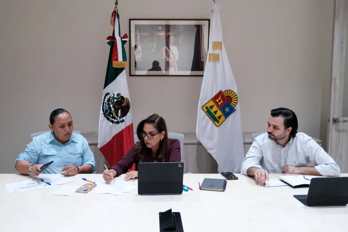 Líneas y torres de transmisión eléctrica