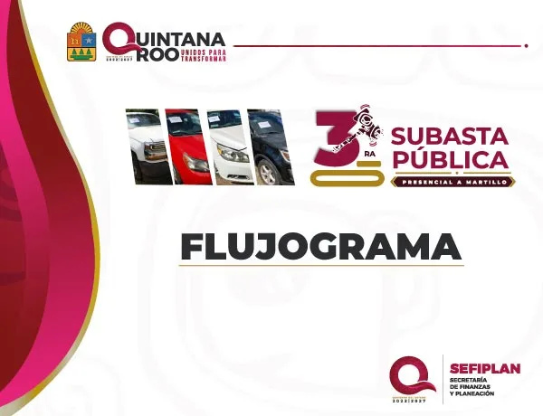 Quintana Roo government official vehicles ready for public auction