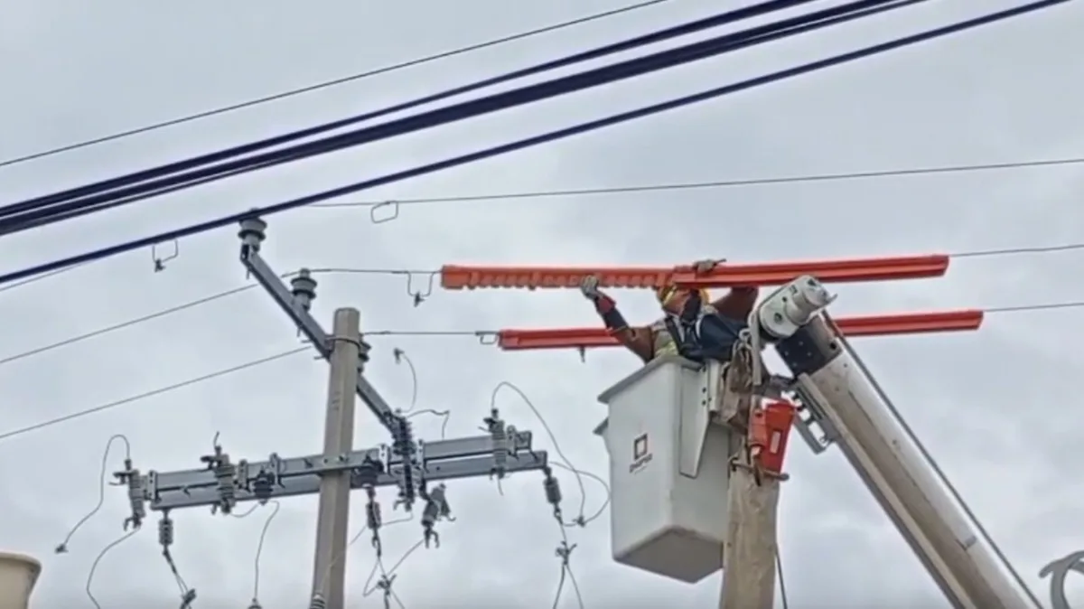 Cables y conexiones eléctricas irregulares colgando de un poste de la CFE