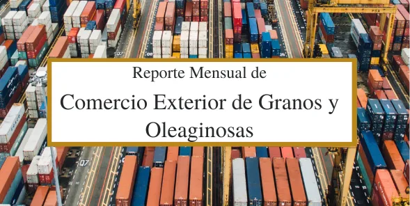 Granos de maíz almacenados