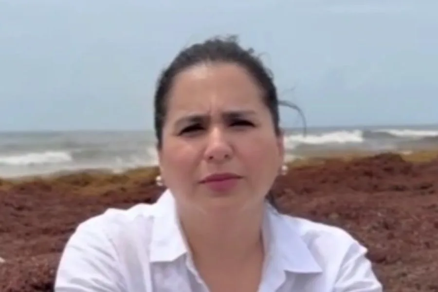 Sargazo acumulado en una playa del Caribe mexicano